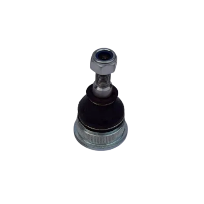 تصویر سیبک طبق ویرا